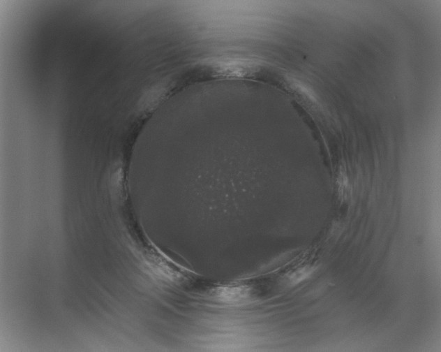 X0000070340314200606161257