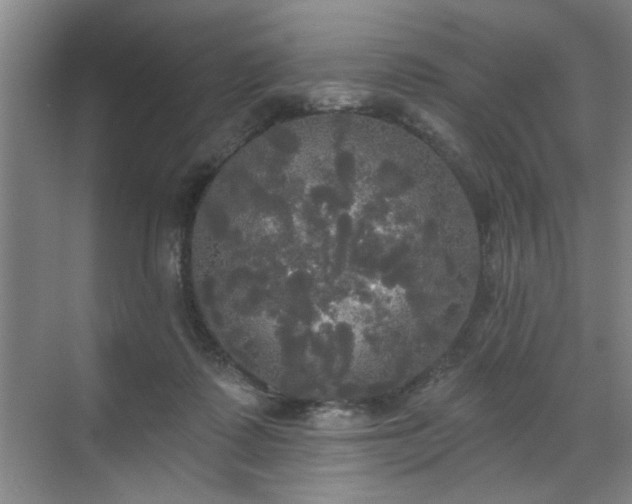 X0000070340315200606161257