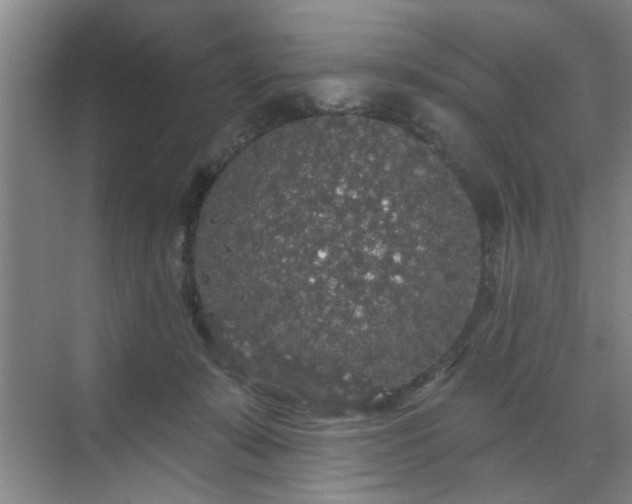 X0000070340319200606161257