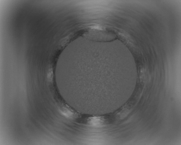 X0000070340320200606161257