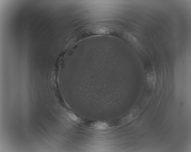 X0000070340322200606161257