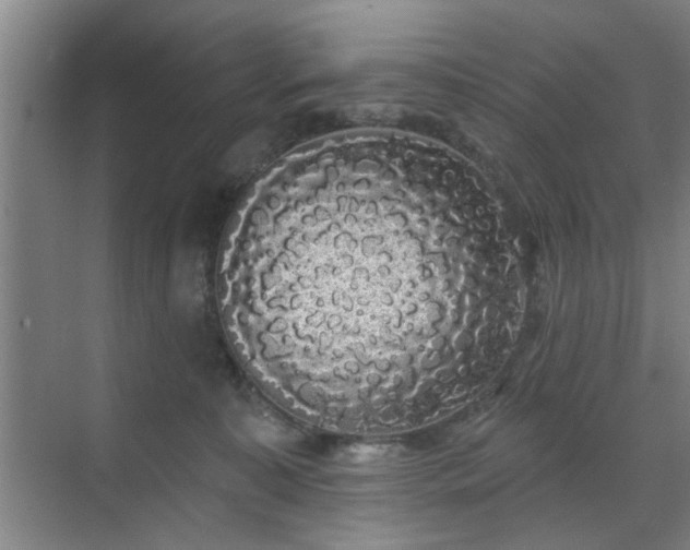 X0000070340323200606161257