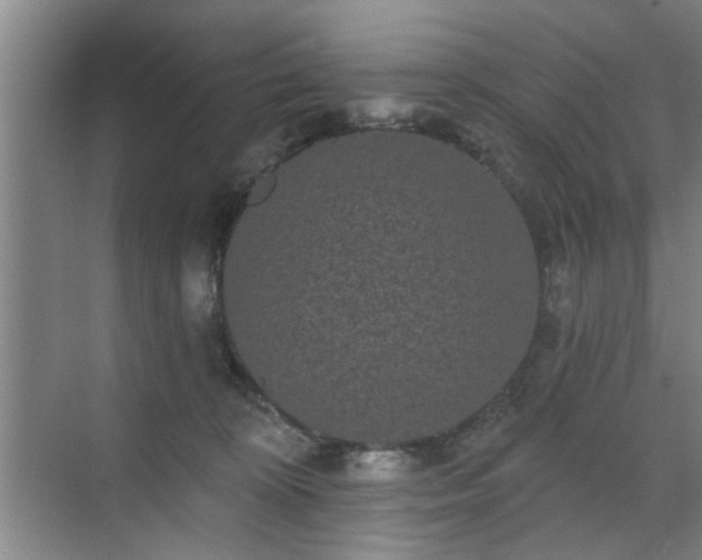 X0000070340324200606161257