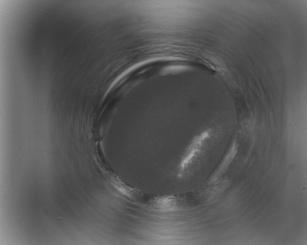 X0000070340325200606161257