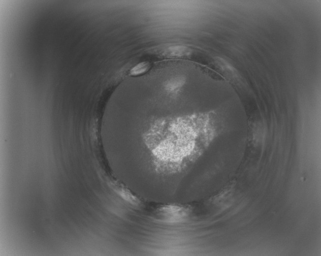 X0000070340326200606161257