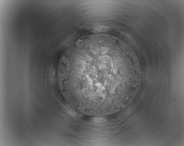 X0000070340327200606161257