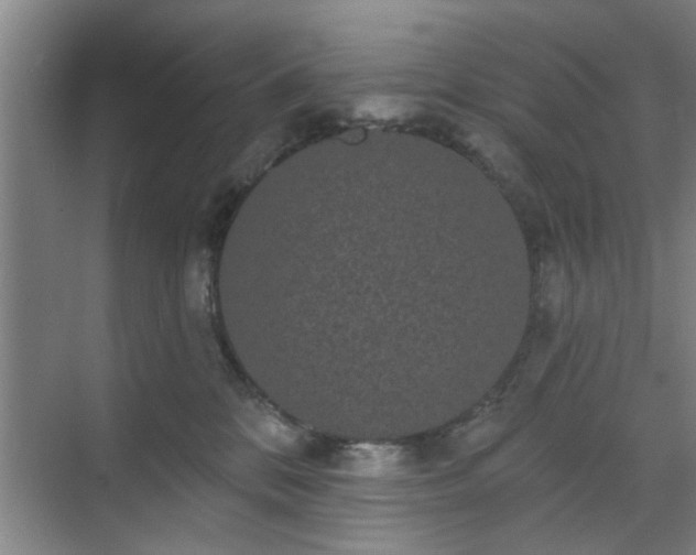 X0000070340328200606161257