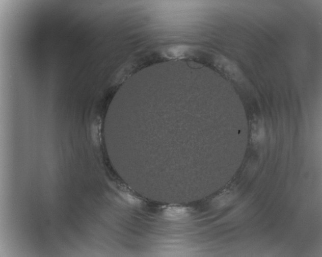 X0000070340332200606161257