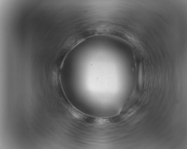 X0000070340333200606161257