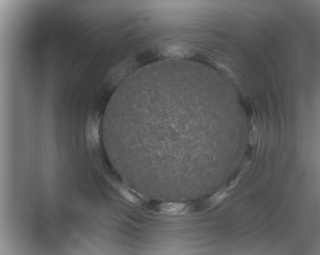 X0000070340334200606161257