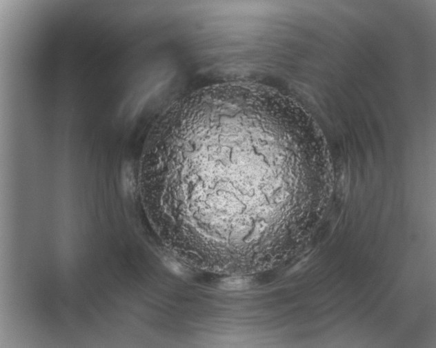 X0000070340335200606161257