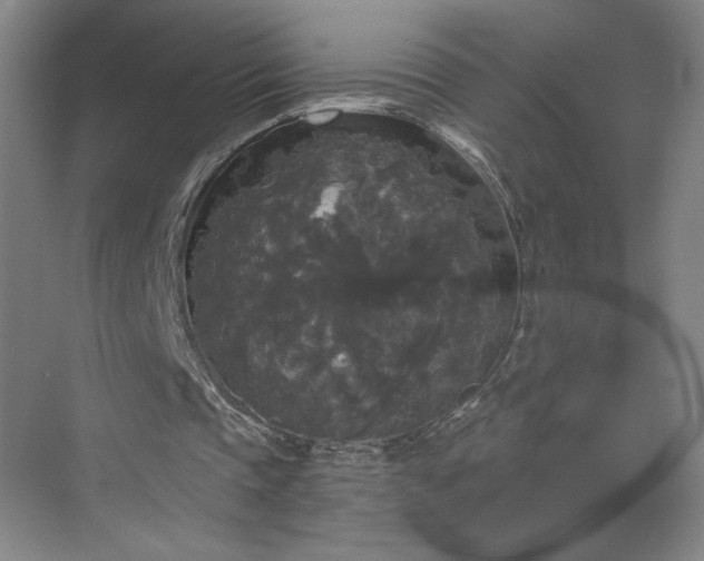 X0000070340337200606161256