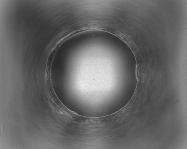 X0000070340338200606161256