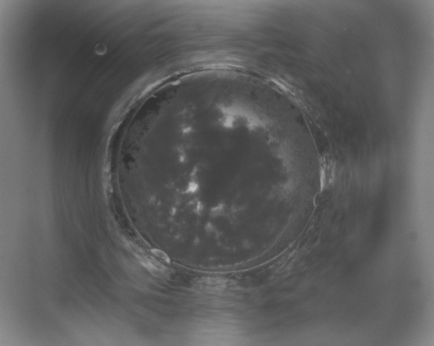 X0000070340339200606161256