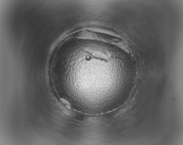 X0000070340341200606161256