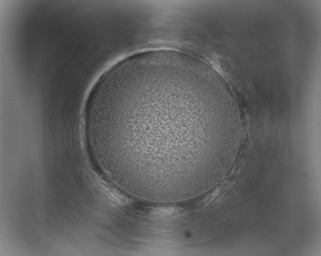 X0000070340342200606161256