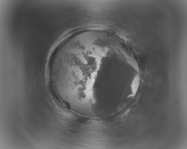 X0000070340343200606161256