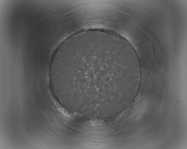 X0000070340345200606161256