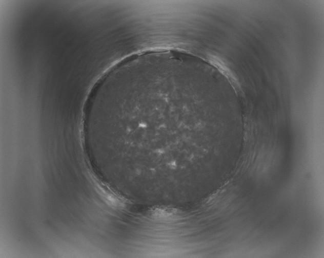 X0000070340346200606161256