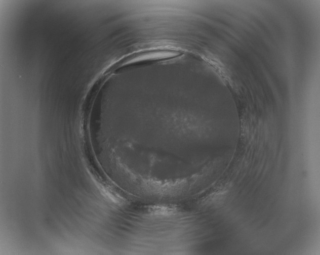 X0000070340347200606161256