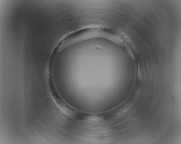 X0000070340348200606161256