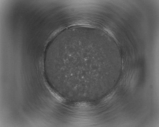 X0000070340349200606161256