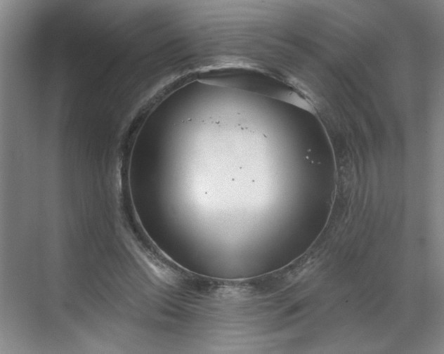 X0000070340350200606161256