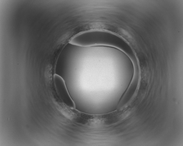 X0000070340356200606161256