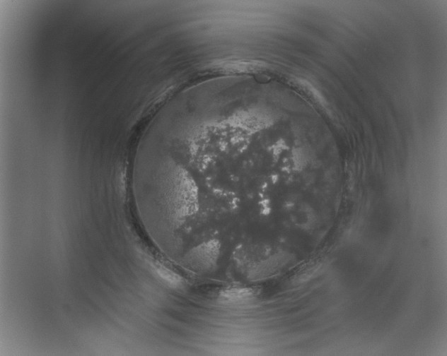 X0000070340357200606161256