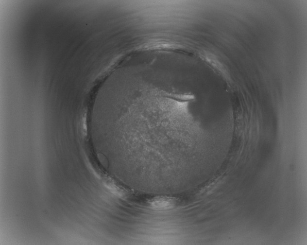 X0000070340358200606161256