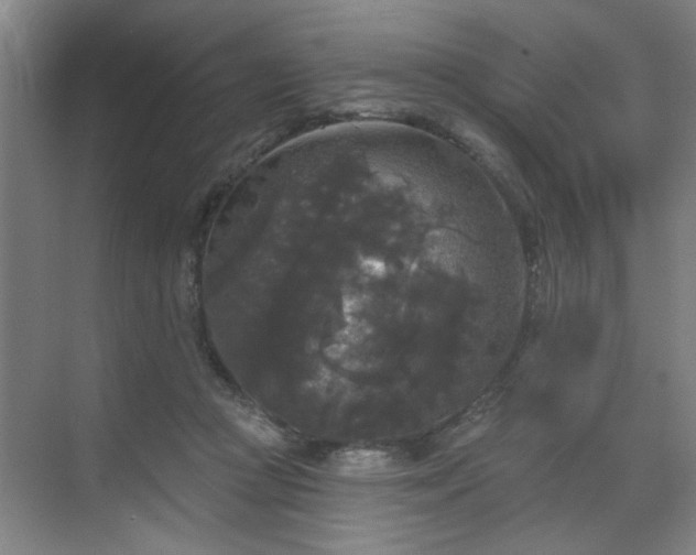 X0000070340361200606161256