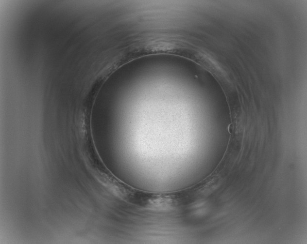 X0000070340362200606161256