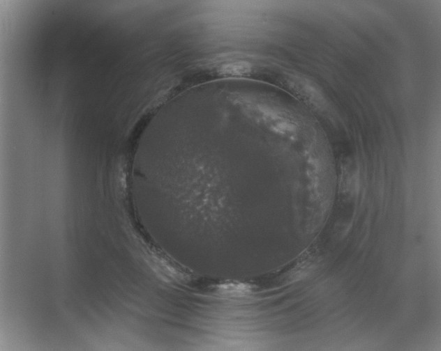 X0000070340363200606161256