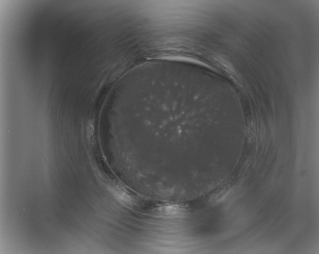 X0000070340365200606161256