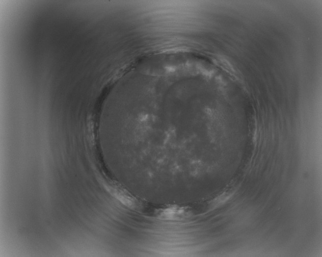 X0000070340366200606161256