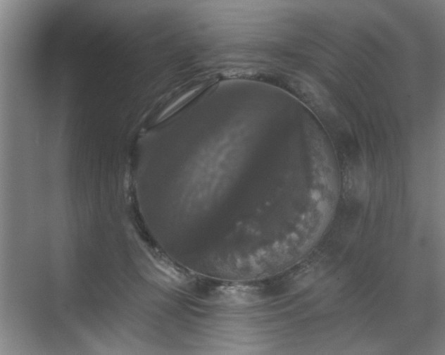 X0000070340367200606161257