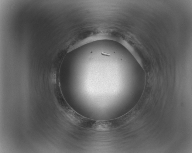 X0000070340368200606161257