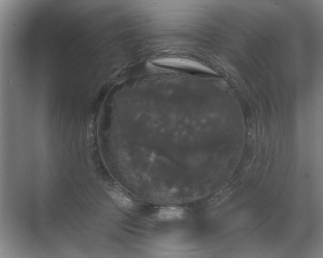 X0000070340369200606161257