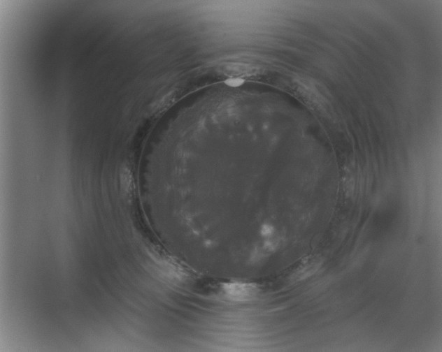 X0000070340371200606161257