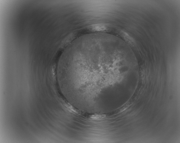 X0000070340373200606161257