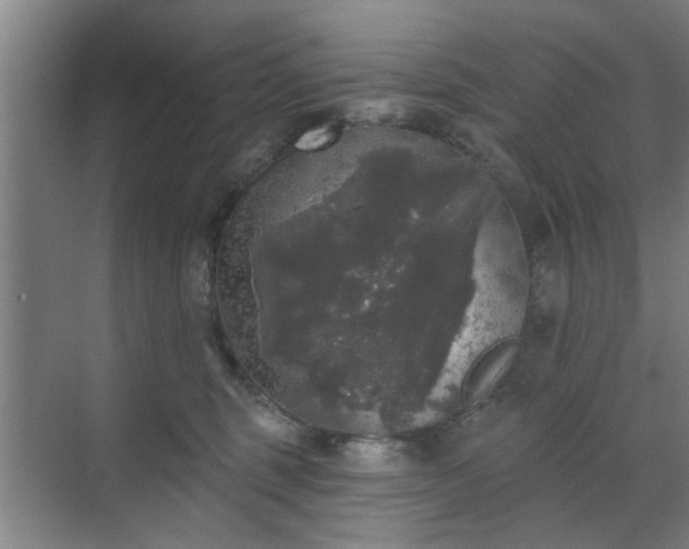 X0000070340375200606161257