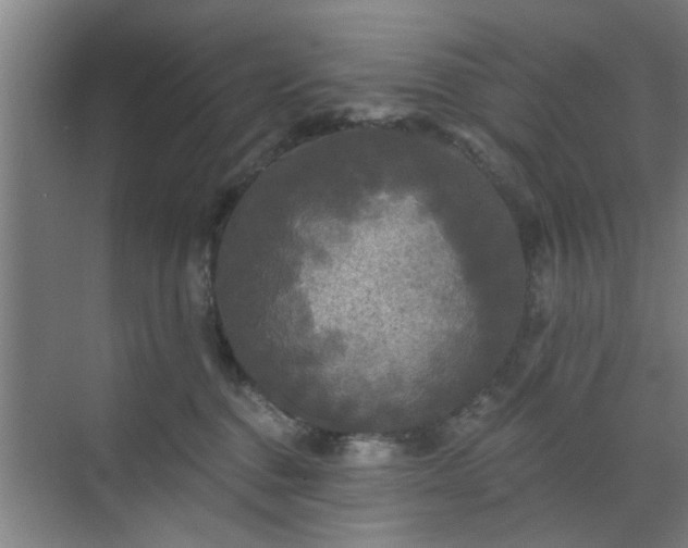 X0000070340376200606161257