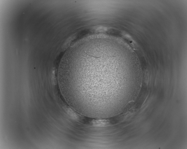 X0000070340378200606161257