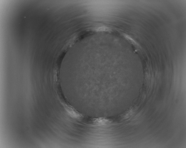 X0000070340379200606161257