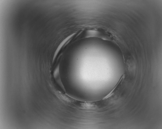 X0000070340380200606161257