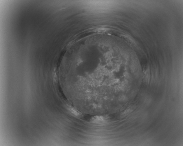 X0000070340381200606161257