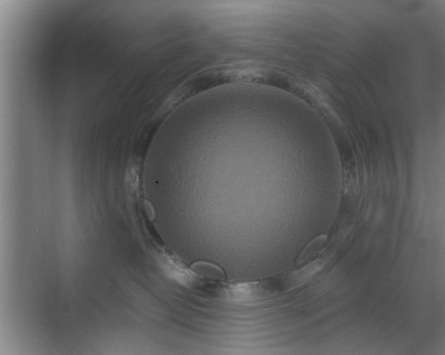 X0000070340382200606161257