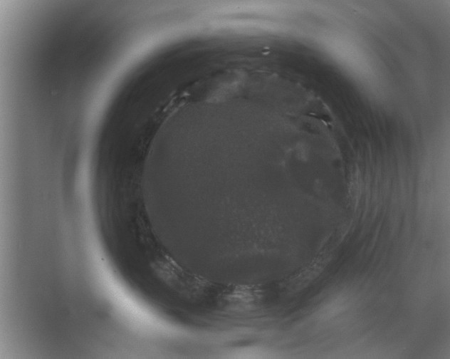 X0000070340383200606161257