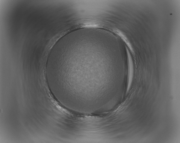 X0000070340385200606161256