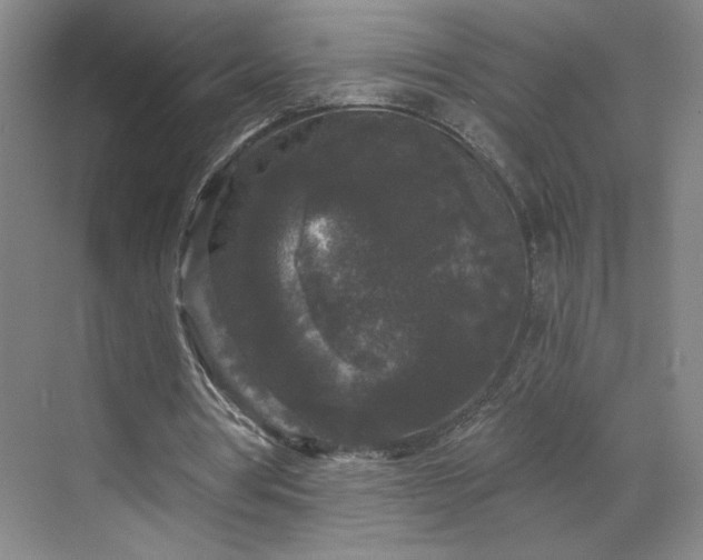 X0000070340386200606161256